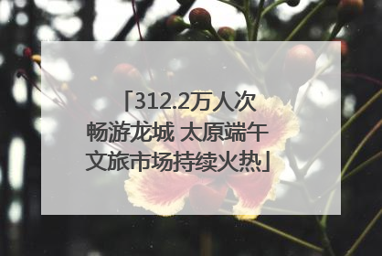 312.2万人次畅游龙城 太原端午文旅市场持续火热