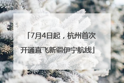 7月4日起，杭州首次开通直飞新疆伊宁航线