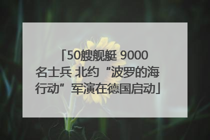 50艘舰艇 9000名士兵 北约“波罗的海行动”军演在德国启动