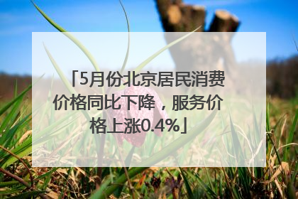 5月份北京居民消费价格同比下降，服务价格上涨0.4%