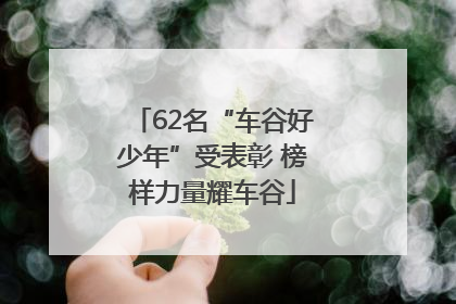 62名“车谷好少年”受表彰 榜样力量耀车谷