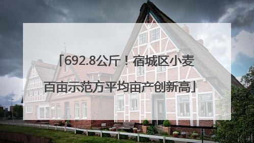 692.8公斤！宿城区小麦百亩示范方平均亩产创新高