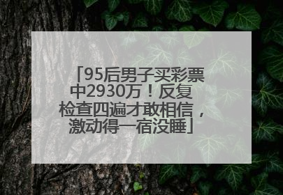 95后男子买彩票中2930万！反复检查四遍才敢相信，激动得一宿没睡