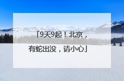 9天9起！北京，有蛇出没，请小心