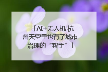 AI+无人机 杭州天空里也有了城市治理的“帮手”