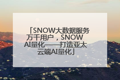 SNOW大数据服务万千用户，SNOW AI量化——打造亚太云端AI量化
