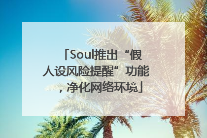 Soul推出“假人设风险提醒”功能，净化网络环境